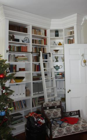 These bookcases with a custom track and ladder for easy access.